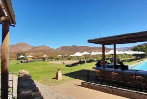 アクイラ・ビッグファイブ・サファリ（送迎、昼食付） 公園使用料を除く