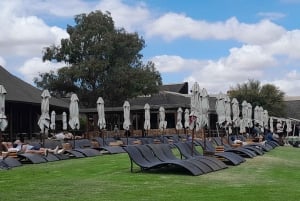 アクイラ・ビッグファイブ・サファリ（送迎、昼食付） 公園使用料を除く