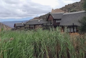 アクイラ・ビッグファイブ・サファリ（送迎、昼食付） 公園使用料を除く