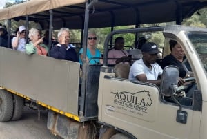 アクイラ・ビッグファイブ・サファリ（送迎、昼食付） 公園使用料を除く