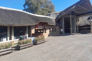 Cape Town: Aquila Game Reserve Sunset Safari with Transport