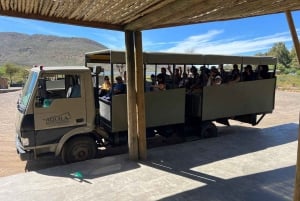 Cape Town: Aquila Game Reserve Sunset Safari with Transport