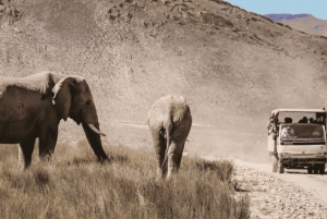 Aquila Private Game Reserve Full Day Safari