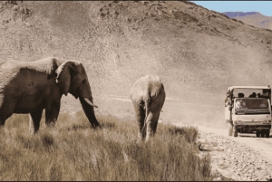 Aquila Private Game Reserve Full Day Safari