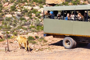 Safári ao pôr do sol na Reserva de Caça Privada de Aquila