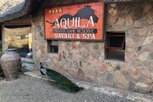 Aquila Reserve: Privat dagstur med delt viltstasjon