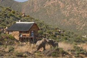 Aquila Reserve: Private Day Tour with Shared Game Drive