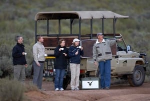 Safari en coche por la mañana en Aquila Safari Reserve