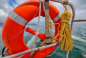 Cape Town: Table Bay Cruise by Catamaran