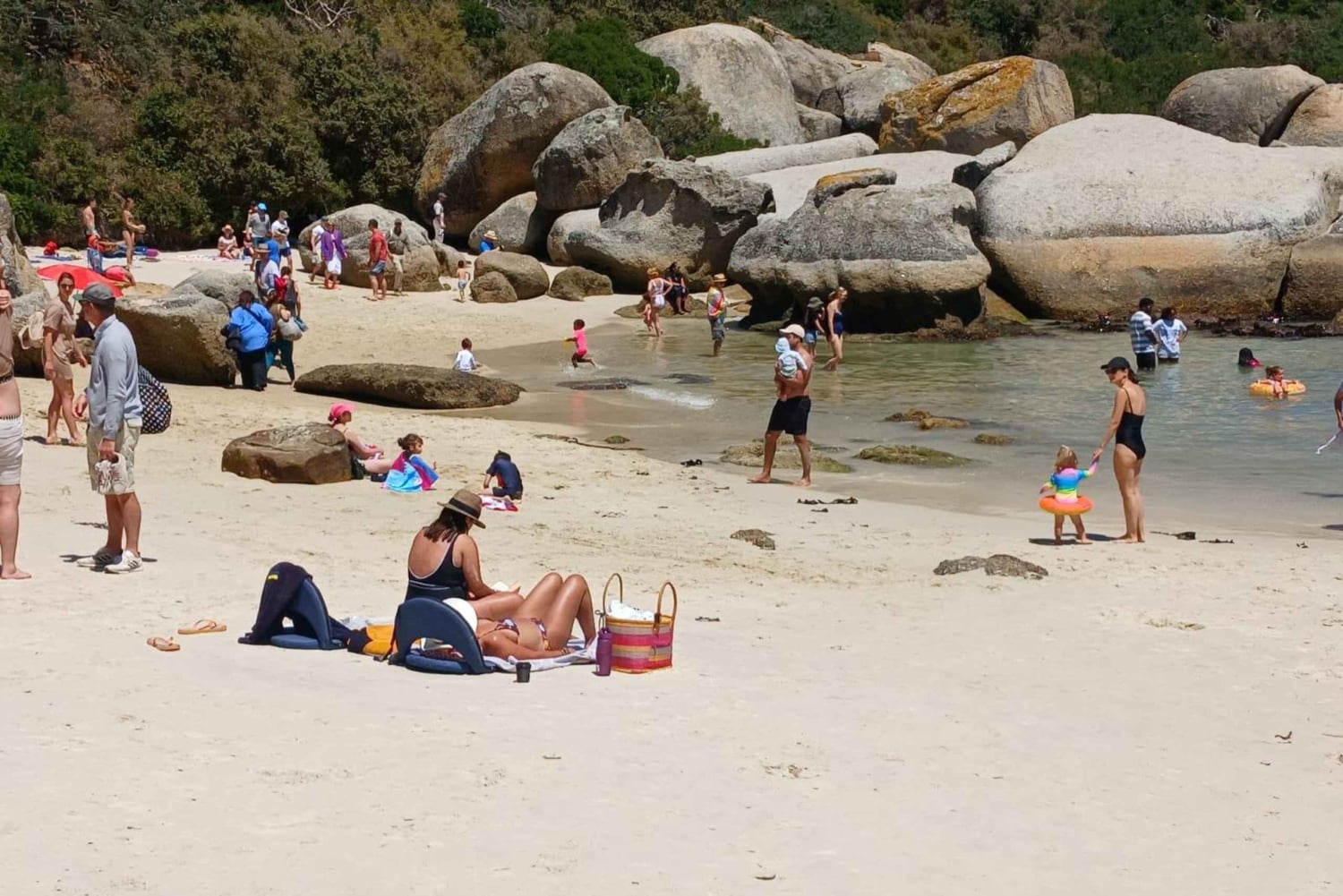 Giornata in spiaggia a Boulder's Beach e osservazione dei pinguini, mezza giornata