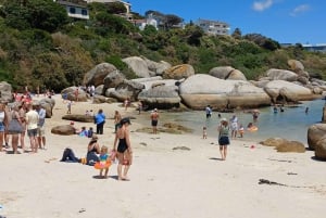 Giornata in spiaggia a Boulder's Beach e osservazione dei pinguini, mezza giornata