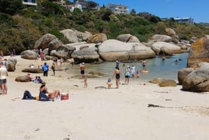 Giornata in spiaggia a Boulder's Beach e osservazione dei pinguini, mezza giornata