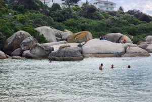 Giornata in spiaggia a Boulder's Beach e osservazione dei pinguini, mezza giornata