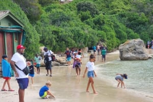 Giornata in spiaggia a Boulder's Beach e osservazione dei pinguini, mezza giornata
