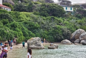 Giornata in spiaggia a Boulder's Beach e osservazione dei pinguini, mezza giornata