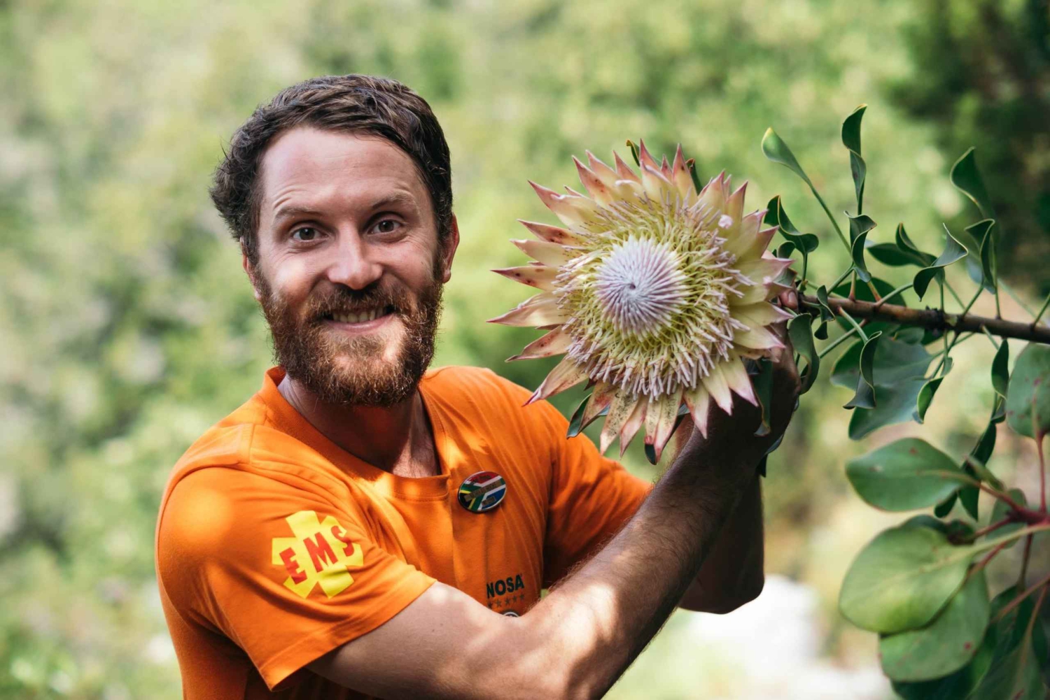 美しいテーブル マウンテン ハイキング: カスティールスポールトの眺めのよいルート