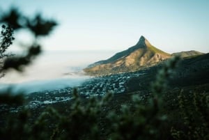 Bela caminhada na Table Mountain: rota panorâmica de Kasteelspoort