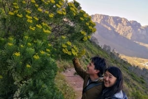 Schöne Tafelberg-Wanderung: Kasteelspoort Scenic Route