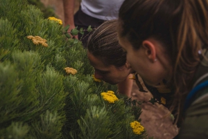 美しいテーブル マウンテン ハイキング: カスティールスポールトの眺めのよいルート