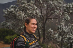 美しいテーブル マウンテン ハイキング: カスティールスポールトの眺めのよいルート