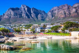 Het beste van Kaapstad 3 dagen privétour - accommodatie niet inbegrepen