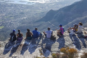 Het beste van Kaapstad 3 dagen privétour - accommodatie niet inbegrepen