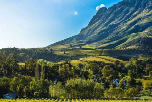 Het beste van Kaapstad 3 dagen privétour - accommodatie niet inbegrepen