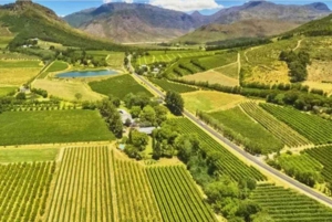 Het beste van Kaapstad 3 dagen privétour - accommodatie niet inbegrepen