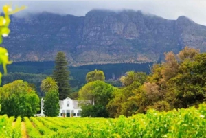 Het beste van Kaapstad 3 dagen privétour - accommodatie niet inbegrepen