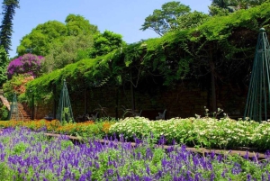 Het beste van Kaapstad 3 dagen privétour - accommodatie niet inbegrepen