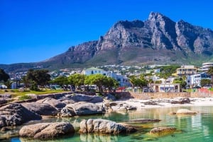 Best of Cape Town 4 dages privat tur - uden overnatning