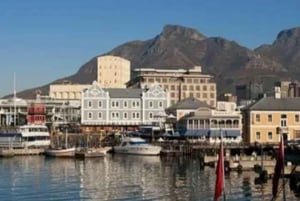 Best of Cape Town 4 dages privat tur - uden overnatning