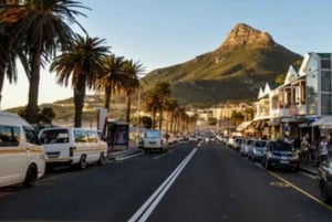 Best of Cape Town 4 Days Private Tour - Accomm excluded