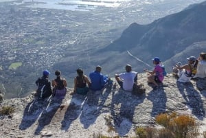 Best of Cape Town 4 Days Private Tour - Accomm excluded