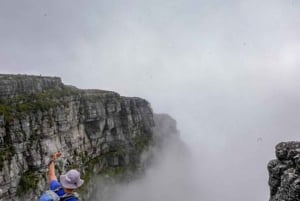 Best of Cape Town 4 Days Private Tour - Accomm excluded