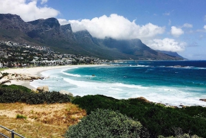 Best of Cape Town Highlights Private Tour and Table Mountain