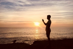 O melhor da Cidade do Cabo em um dia (Cape Point, pinguins e muito mais)