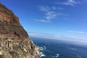Det bästa av Kapstaden på en dag (Cape Point, pingviner och mer)