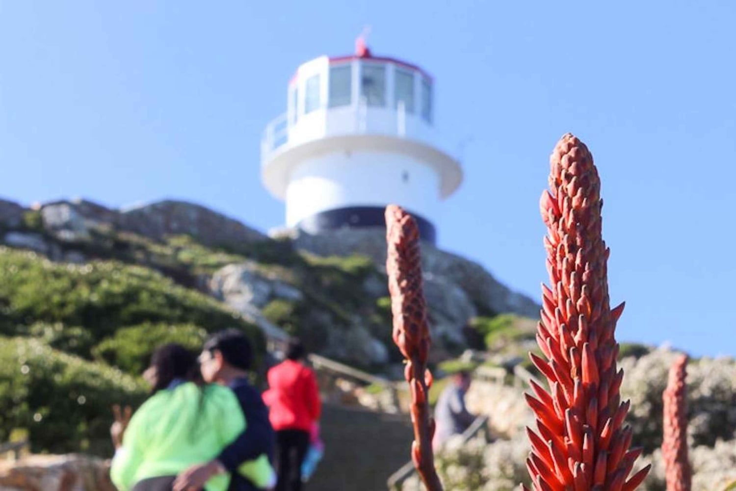 Lo Mejor del Cabo Día Completo