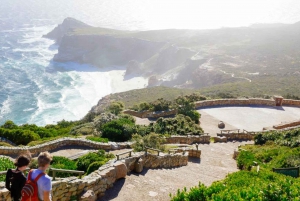 ケープのベスト 1 日