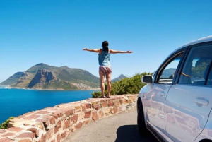 ケープのベスト 1 日