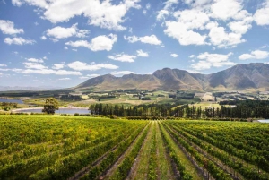 ケープのベスト 1 日