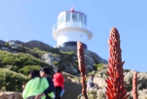 Lo Mejor del Cabo Día Completo