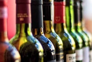 Lo Mejor del Cabo Día Completo