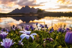 Lo Mejor del Cabo Día Completo