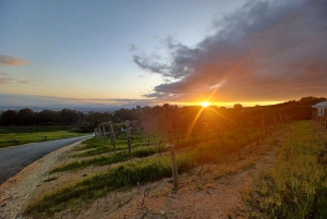 Cape Town: Table Mountain, Noordhoek and Penguins Day Tour