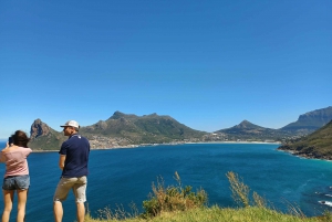 Cape Town: Table Mountain, Noordhoek and Penguins Day Tour
