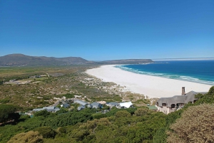 Cape Town: Table Mountain, Noordhoek and Penguins Day Tour