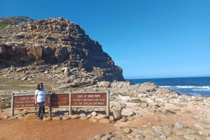 Cape Town: Table Mountain, Noordhoek and Penguins Day Tour