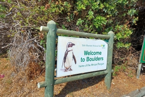 Cape Town: Table Mountain, Noordhoek and Penguins Day Tour